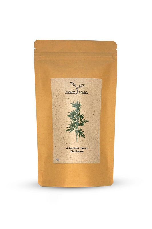 Artemisia annua Tee 