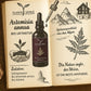 Artemisia annua bio Urtinktur Planta Sanus