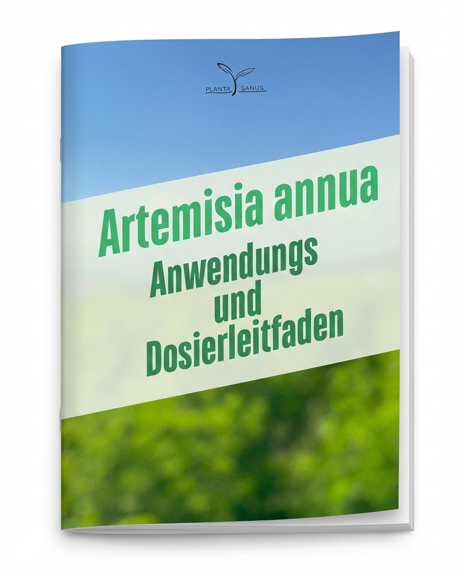 Artemisia annua Dosierungsleitfaden Planta Sanus