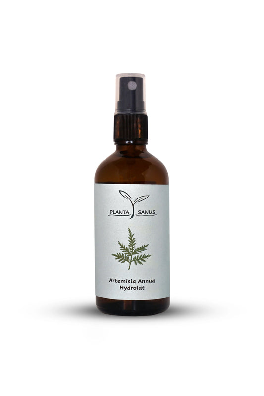 Artemisia annua Hydrolat
