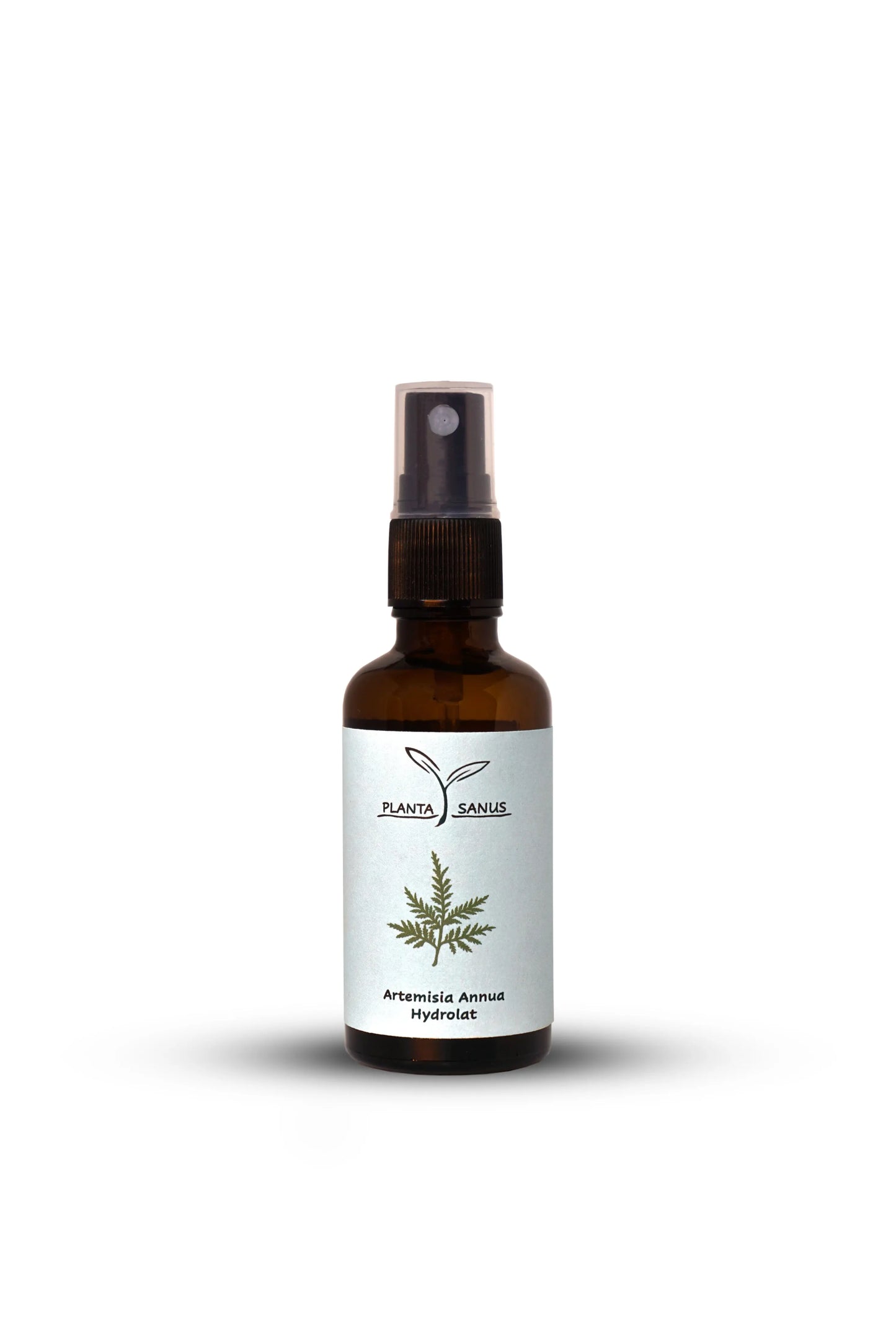 Artemisia annua Hydrolat