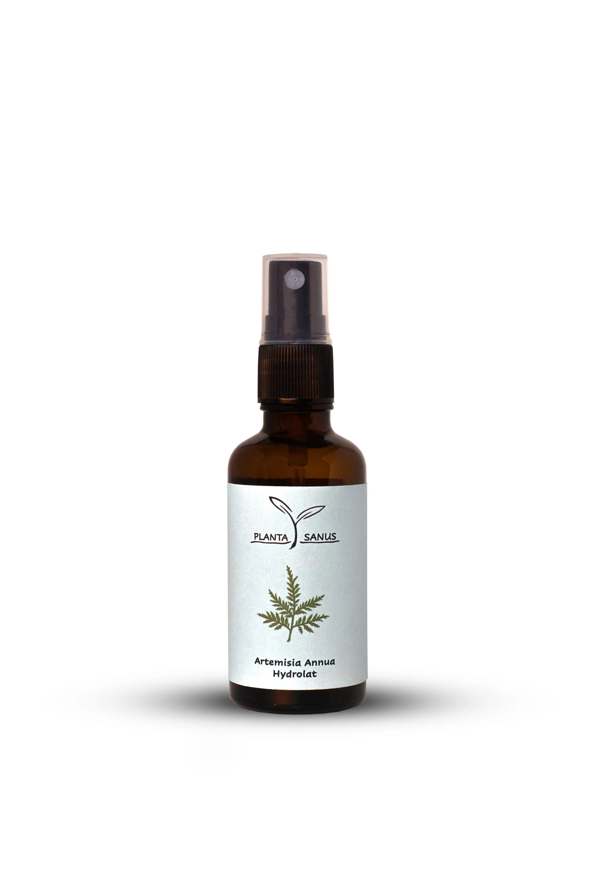 Artemisia annua Hydrolat