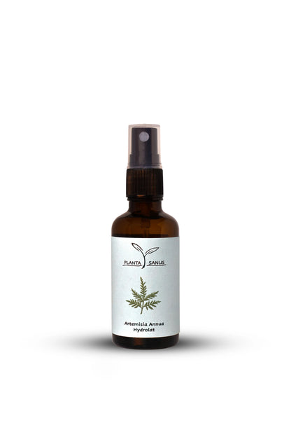 Artemisia annua Hydrolat